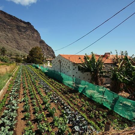 Casa Celia Villa Valle Gran Rey Dış mekan fotoğraf